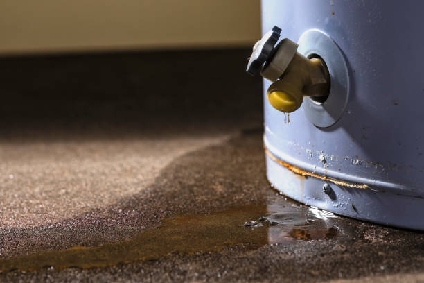  Baldwin, LA Water damage restoration Pros
