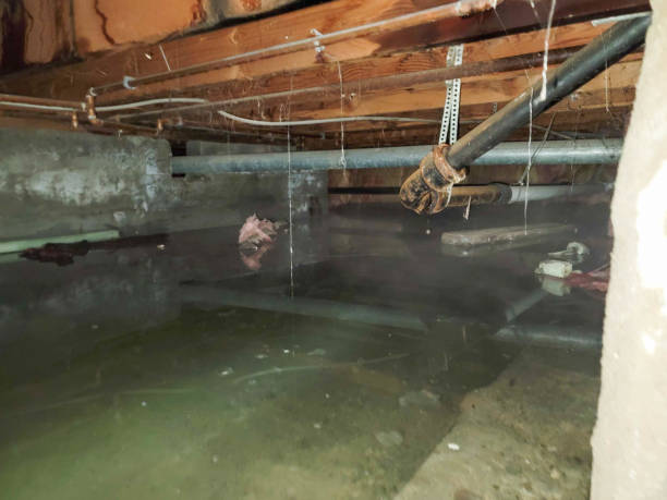 Best Water damage restoration near me  in Baldwin, LA
