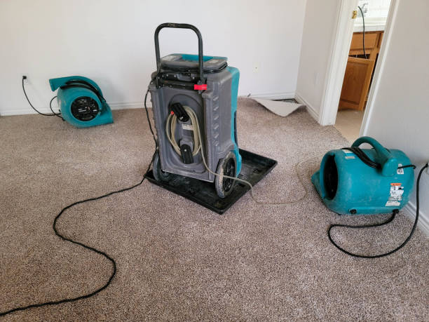 Best Water damage contractors near me  in Baldwin, LA