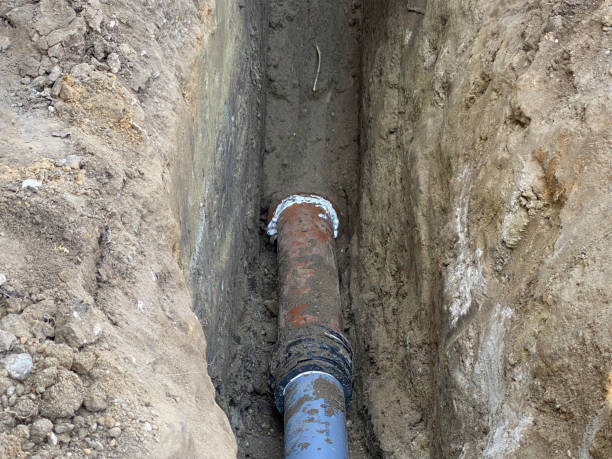 Best Flood restoration services  in Baldwin, LA
