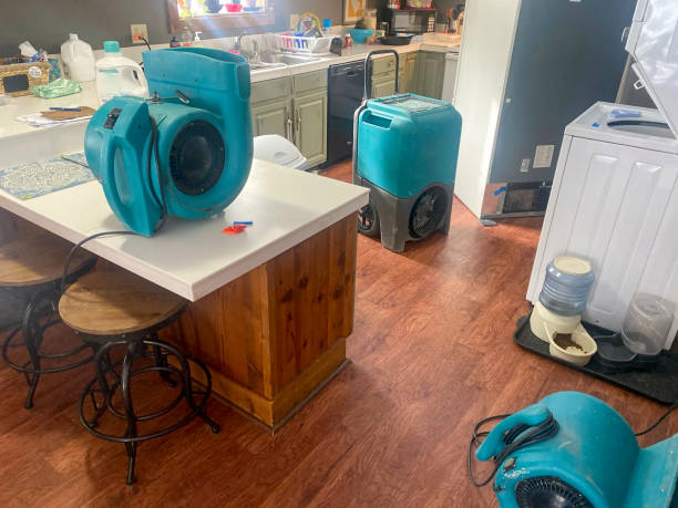 Best 24-hour water damage restoration  in Baldwin, LA