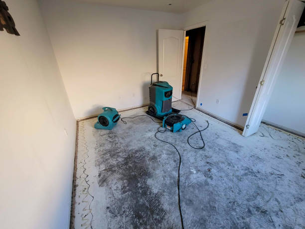 Best Residential water damage restoration  in Baldwin, LA