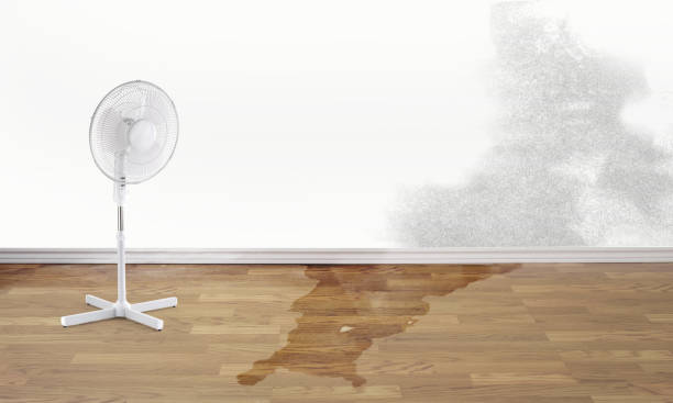 Best Sewage cleanup and water damage restoration  in Baldwin, LA