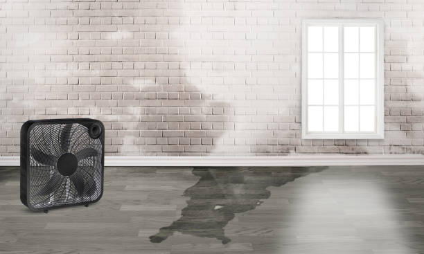 Best Commercial water damage restoration  in Baldwin, LA
