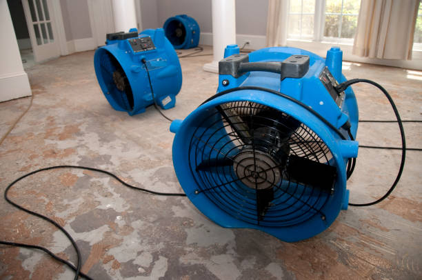 Trusted LA Water damage restoration Experts