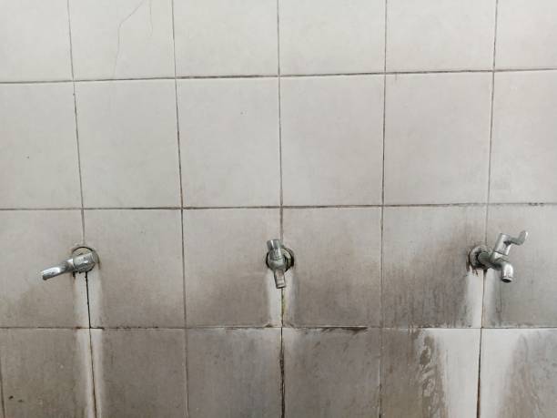 Best Basement water damage restoration  in Baldwin, LA