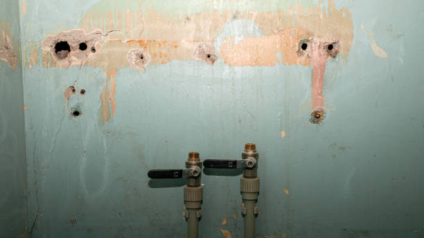 Best Flood damage cleanup  in Baldwin, LA