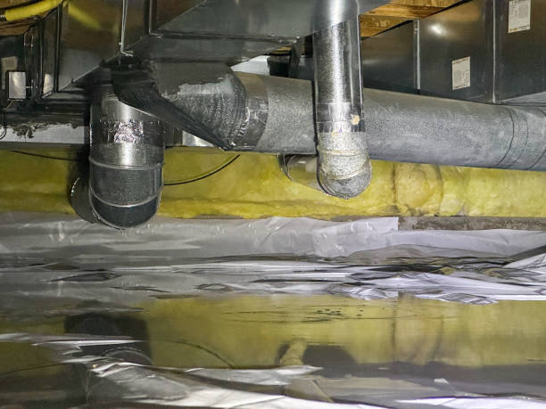 Best Mold removal after water damage  in Baldwin, LA