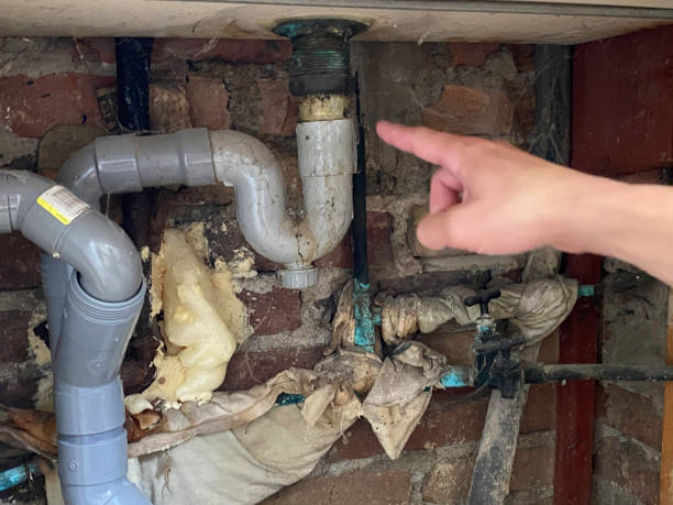 Best Water damage restoration near me  in Baldwin, LA